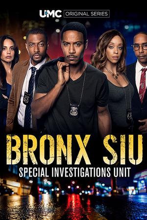 Смотреть Бронкс: отдел спецрасследований (2018, сериал) онлайн