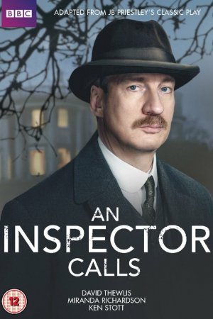 Визит инспектора (2015)