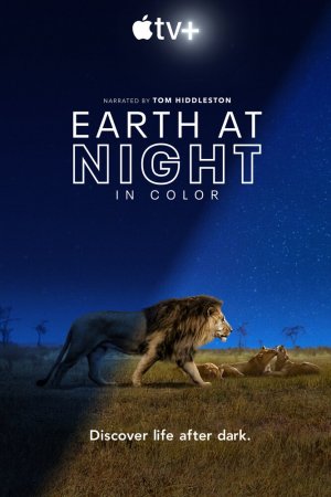 Смотреть Земля ночью в цвете (2020, сериал) онлайн