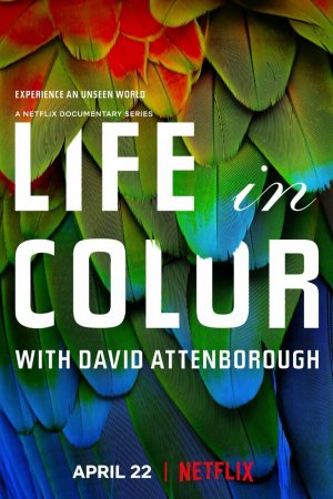 Смотреть Жизнь в цвете с Дэвидом Аттенборо (2021, сериал) онлайн