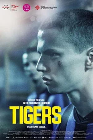 Смотреть Тигры (2020) онлайн