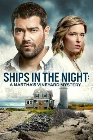 Расследования на Мартас-Винъярде: Корабли в ночи (2021)