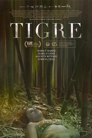Тигре (2017)