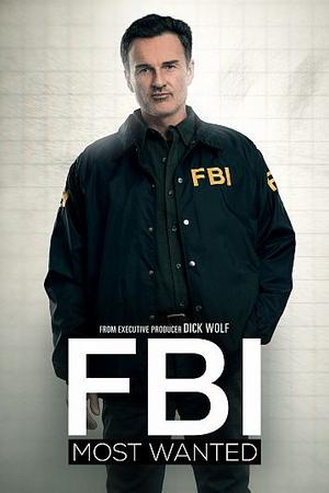 ФБР: Самые разыскиваемые преступники (2020, сериал)