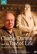 Смотреть Чарльз Дарвин и Древо жизни (2009) онлайн
