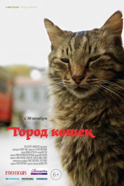 Смотреть Город кошек (2016) онлайн