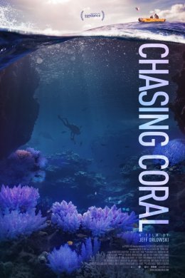 Смотреть В поисках кораллов (2017) онлайн