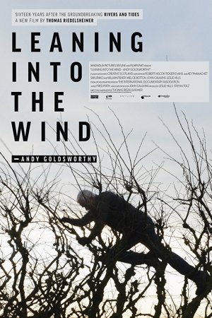 Смотреть Творить вместе с ветром: Энди Голдсуорти (2017) онлайн