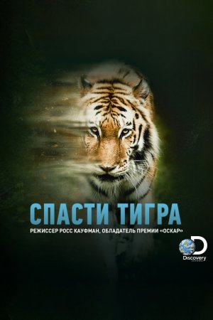 Смотреть Спасти тигра (2019) онлайн