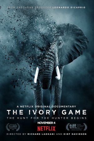 Смотреть Игра цвета слоновой кости (2016) онлайн