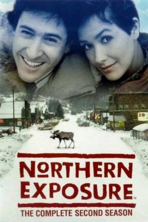 Смотреть Северная сторона (1990-1995) онлайн