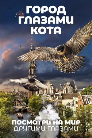 Смотреть Город глазами кота (2018) онлайн