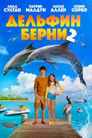 Смотреть Дельфин Берни 2 (2019) онлайн