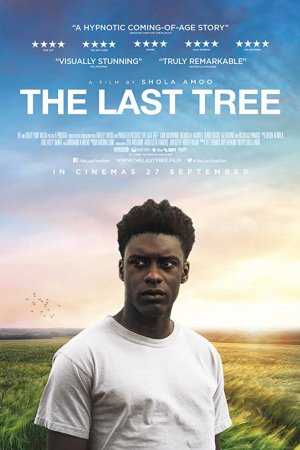 Смотреть Последнее дерево (2019) онлайн