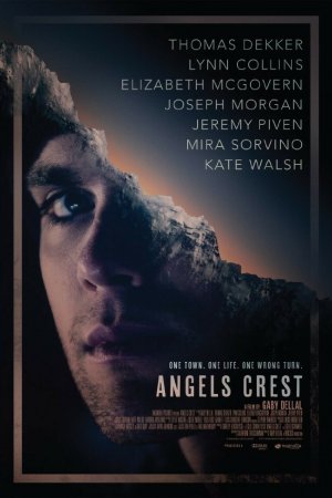 Смотреть Герб ангелов (2011) онлайн