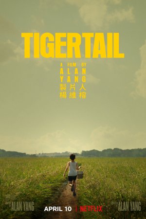 Смотреть Хвост тигра (2020) онлайн