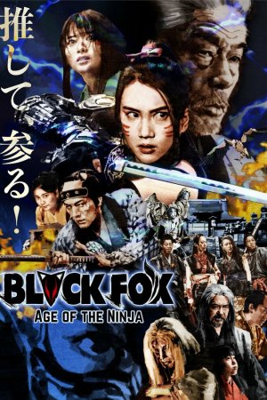 Смотреть Чёрная лиса: Эпоха ниндзя (2019) онлайн