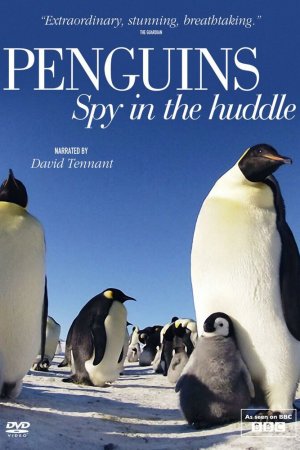 Пингвины: Шпион в толпе (2013, сериал)