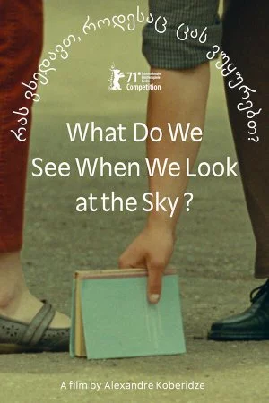 Смотреть Что мы видим, когда смотрим на небо? (2021) онлайн