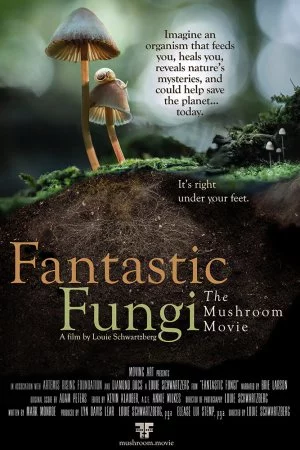 Смотреть Фантастические грибы (2019) онлайн