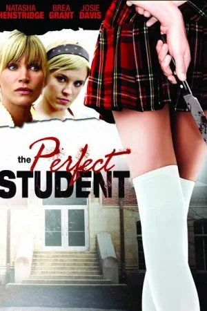 Смотреть Идеальная студентка (2010) онлайн