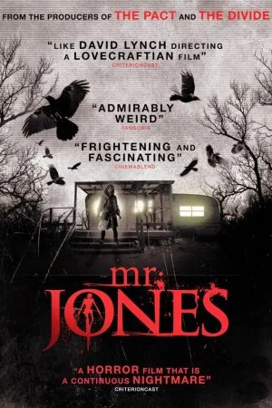 Мистер Джонс (2013)