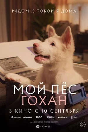 Смотреть Мой пёс Гохан (2026) онлайн